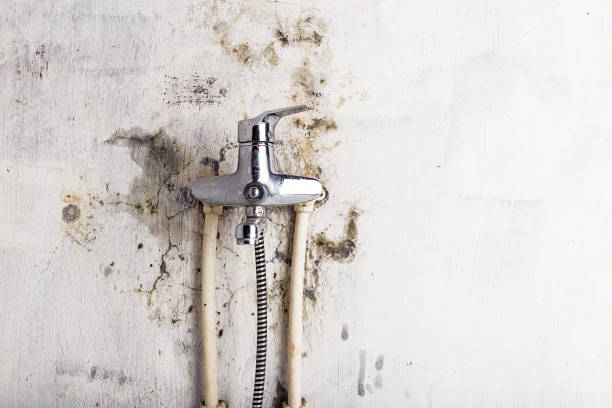 Best Mold Cleaning Services  in Sandy Springs, GA