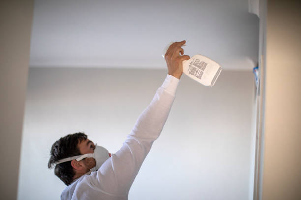 Best Crawl Space Mold Removal  in Sandy Springs, GA