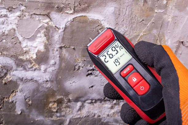 Trusted Sandy Springs, GA Mold Removal Experts