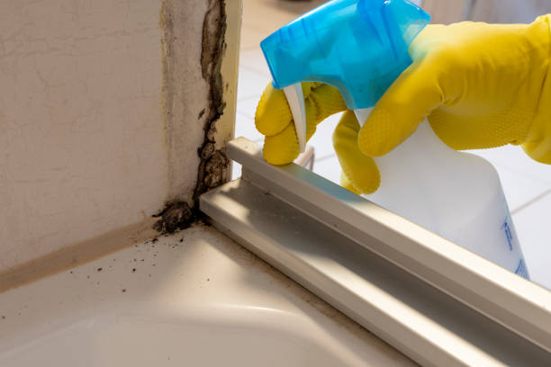 Best Office Mold Removal Services  in Sandy Springs, GA