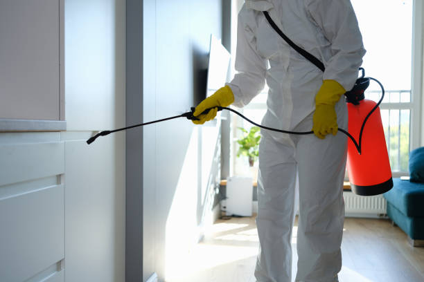 Best Crawl Space Mold Removal  in Sandy Springs, GA