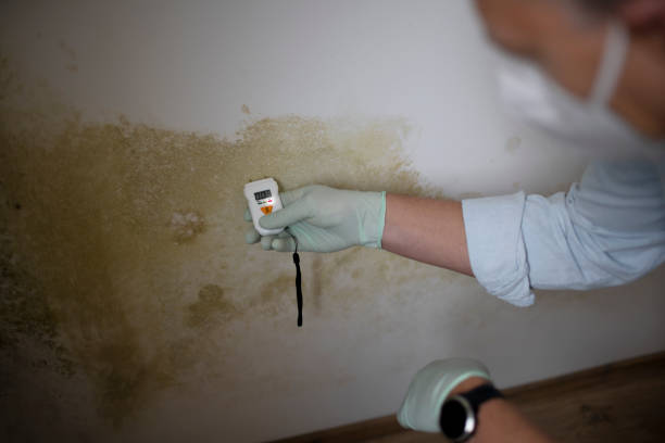 Home Mold Removal in Sandy Springs, GA