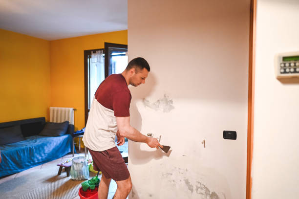 Best Mold Removal Near Me  in Sandy Springs, GA