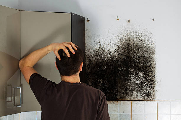 Best Local Mold Removal Service  in Sandy Springs, GA